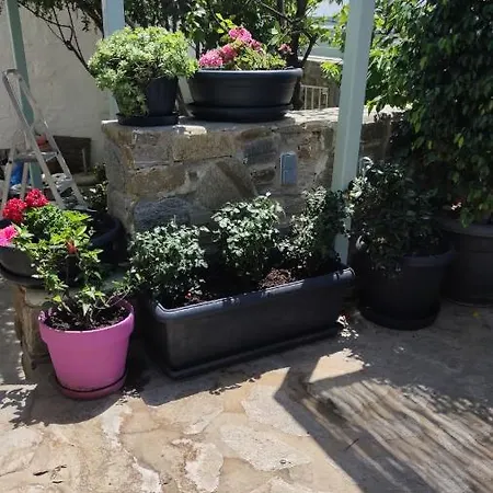 My Little Garden Holiday home *